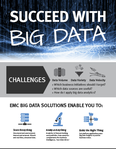 Succeed with Big Data
